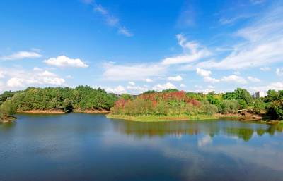 湖北恩施：湿地公园生态美