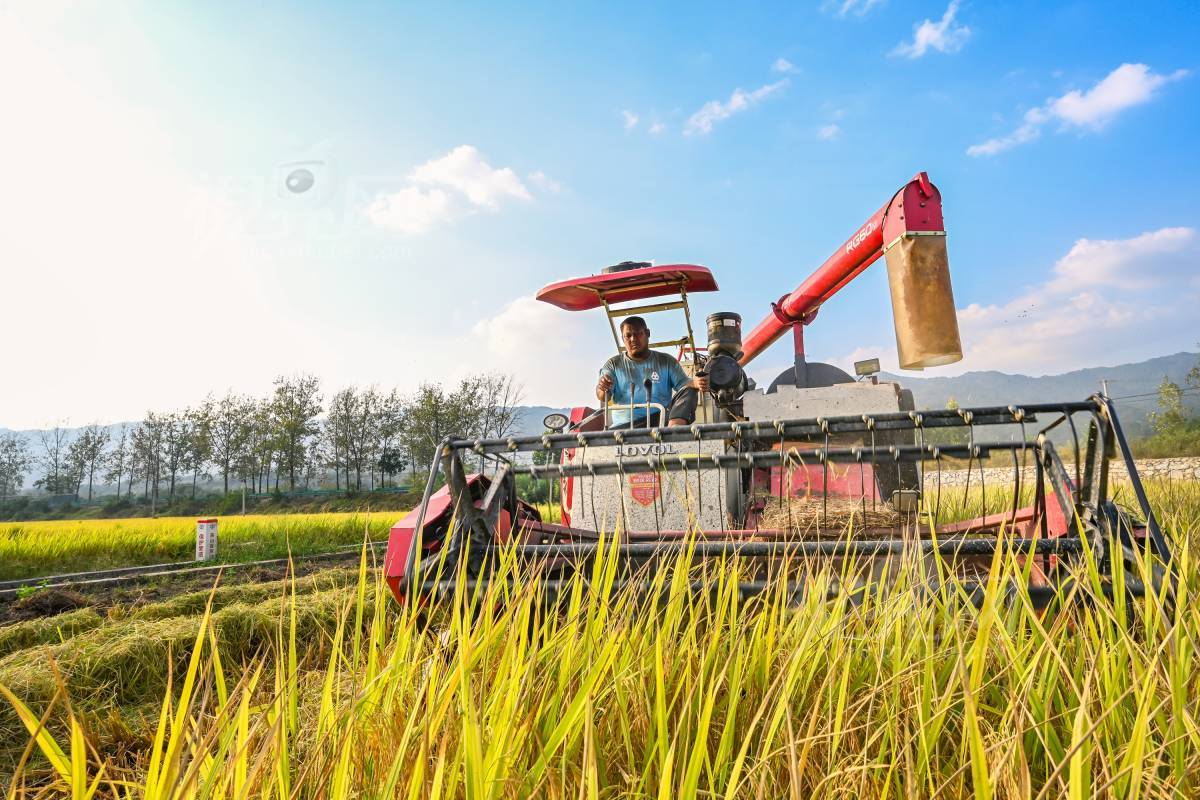 953586