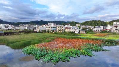 房县：绿美乡村景如画