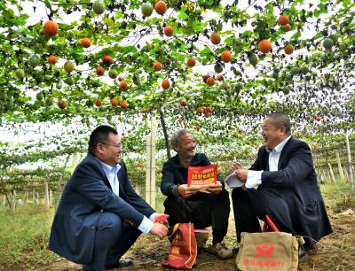  湖北十堰： “挎包银行”到田间