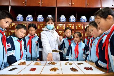  学习中医药知识 感受中医药魅力（客户端采稿）