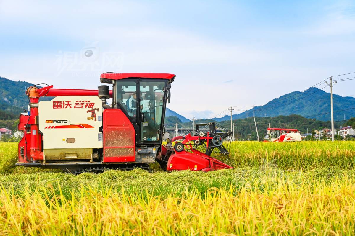 954843