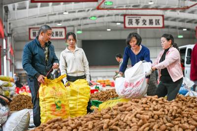 湖北罗田：道地药材富乡村