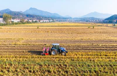 湖北英山：播种冬油菜