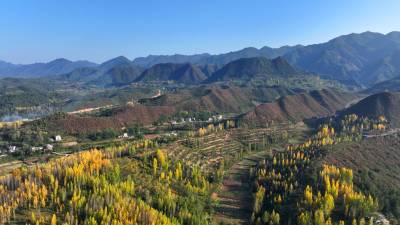 房县：层林尽染 秋景如画