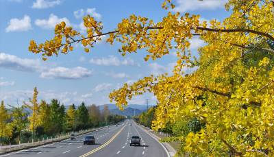 房县：美丽公路景如画