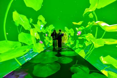 荷花隧道成企业网红打卡地