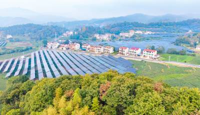 湖北英山：“茶光互补”助力乡村振兴