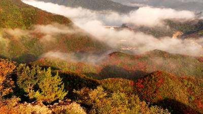 湖北南漳：聚仙观顶望秋深 一笔胭脂染万岑