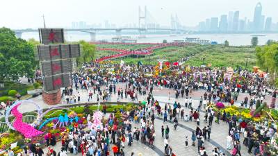 菊香沁满城   花开迎盛世