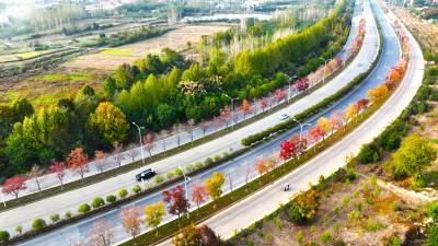 问津大道秋色美