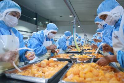 柑橘深加工助力乡村振兴