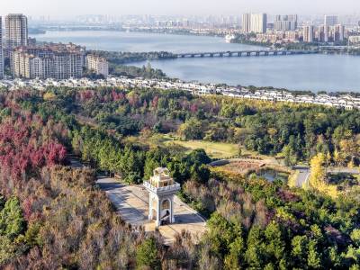 湖北武汉：藏龙岛湿地公园秋意浓