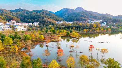 湖北罗田：山乡美景入画来