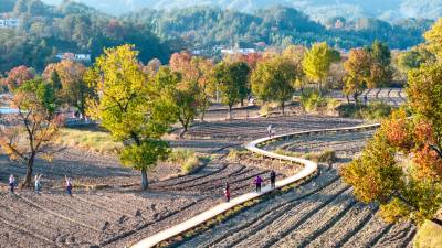 湖北罗田：农旅融合游客来
