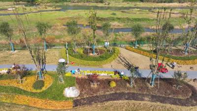 房县：河堤绿化施工忙