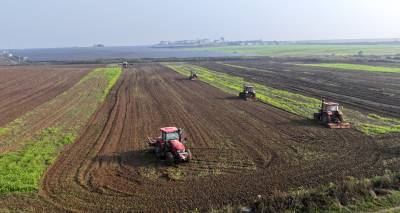 科技助力抗湿播种小麦（客户端采稿）