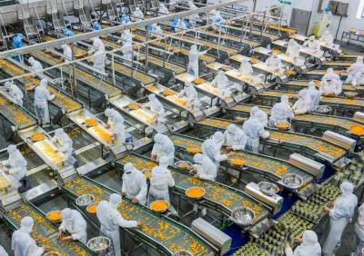 秭归柑橘深加工出口旺（客户端采稿）