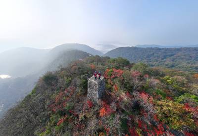 湖北荆门：“智能巡检”守护青山绿电      
