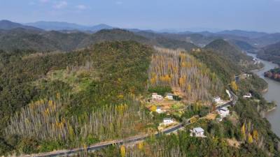 房县：移民安居 幸福生活