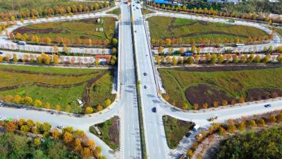 城市“生态道路”如镏金