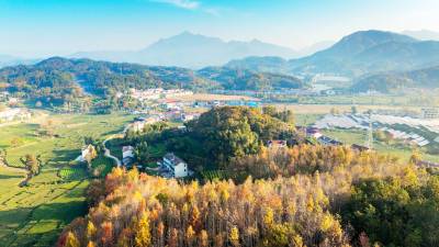 湖北英山：初冬乡村 晨景如画