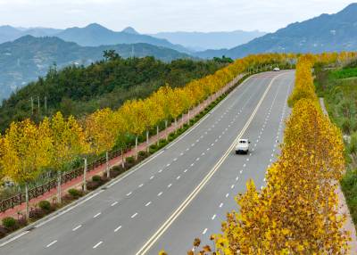 湖北秭归：乡村道路景如画
