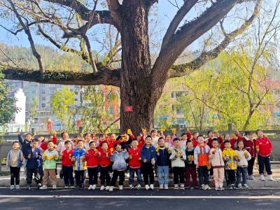 拾落叶，留秋韵