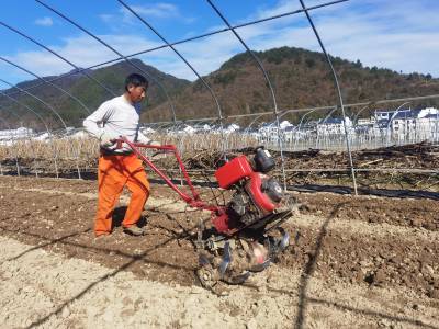 湖北保康：搭建羊肚菌大棚    助力乡村振兴