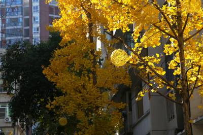 竹溪：初冬秋色美