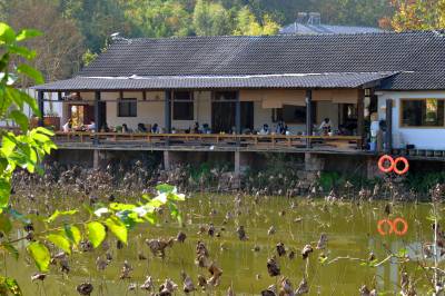 夷陵：“村咖”新业态 乡村迎客来 （客户端采稿）