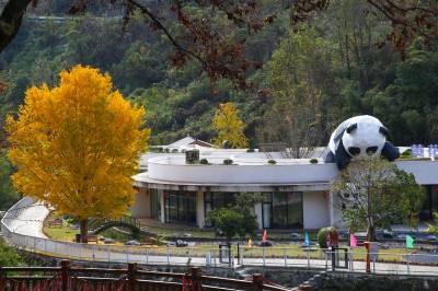 竹溪：初冬秋色