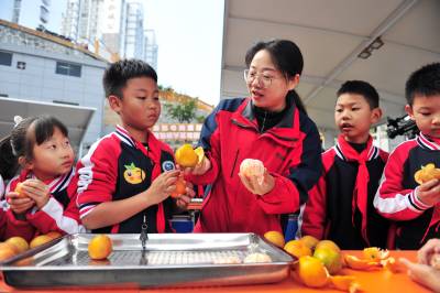 课堂进基地  快乐研学行
