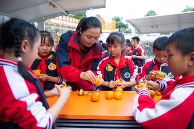 湖北秭归：课堂进基地  快乐研学行