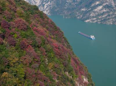 三峡红叶景如画