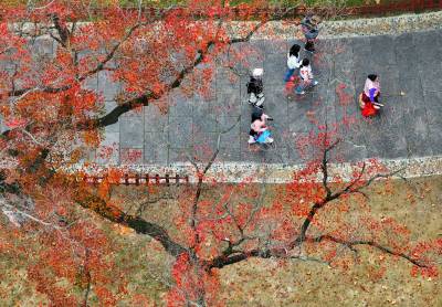 乐享秋日好风景