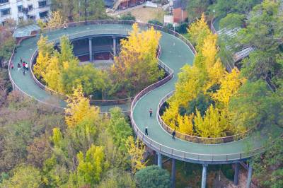 湖北荆门：初冬时节 风景如画