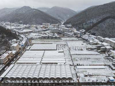 保康迎来入冬以来首场降雪（客户端采稿）