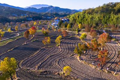 罗田徐凤冲秋色入画