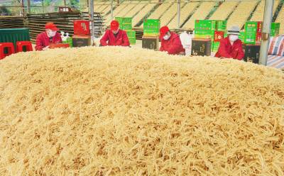 豆丝香飘致富路（客户端采稿）