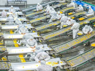 脐橙深加工助乡村振兴