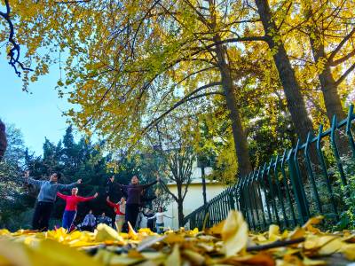 “落叶缓扫”享美景