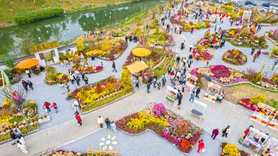 湖北武汉：菊花展人潮涌动