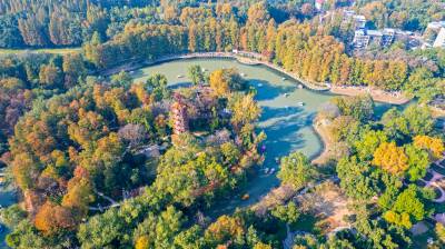 湖北武汉：乐享初冬好时光