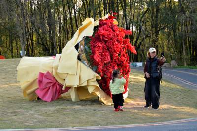 夷陵：市民争相打卡超大玫瑰花束景观