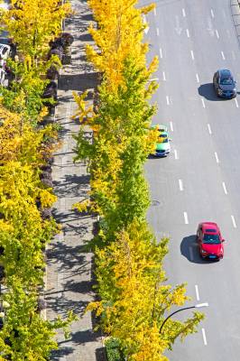 湖北恩施：城市初冬景色美