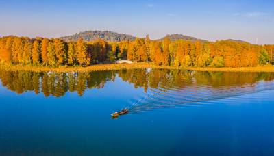 湖北武汉：东湖秋色正浓