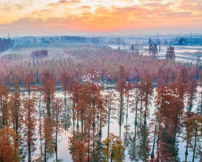 湖北武汉：涨渡湖迎来最佳秋色观赏期