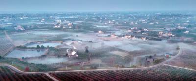  雾里乡村美如画