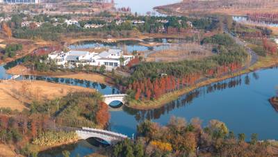 生态公园 冬景如画